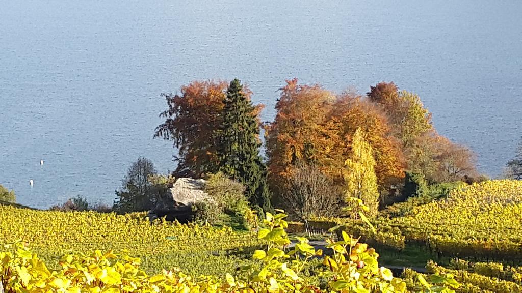Oase Zum Sein Apartamento Spiez Quarto foto