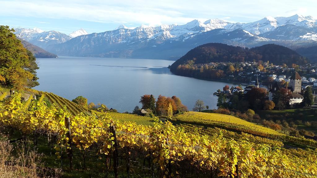 Oase Zum Sein Apartamento Spiez Exterior foto